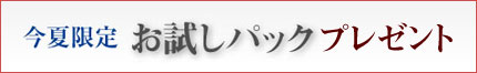お試しセット